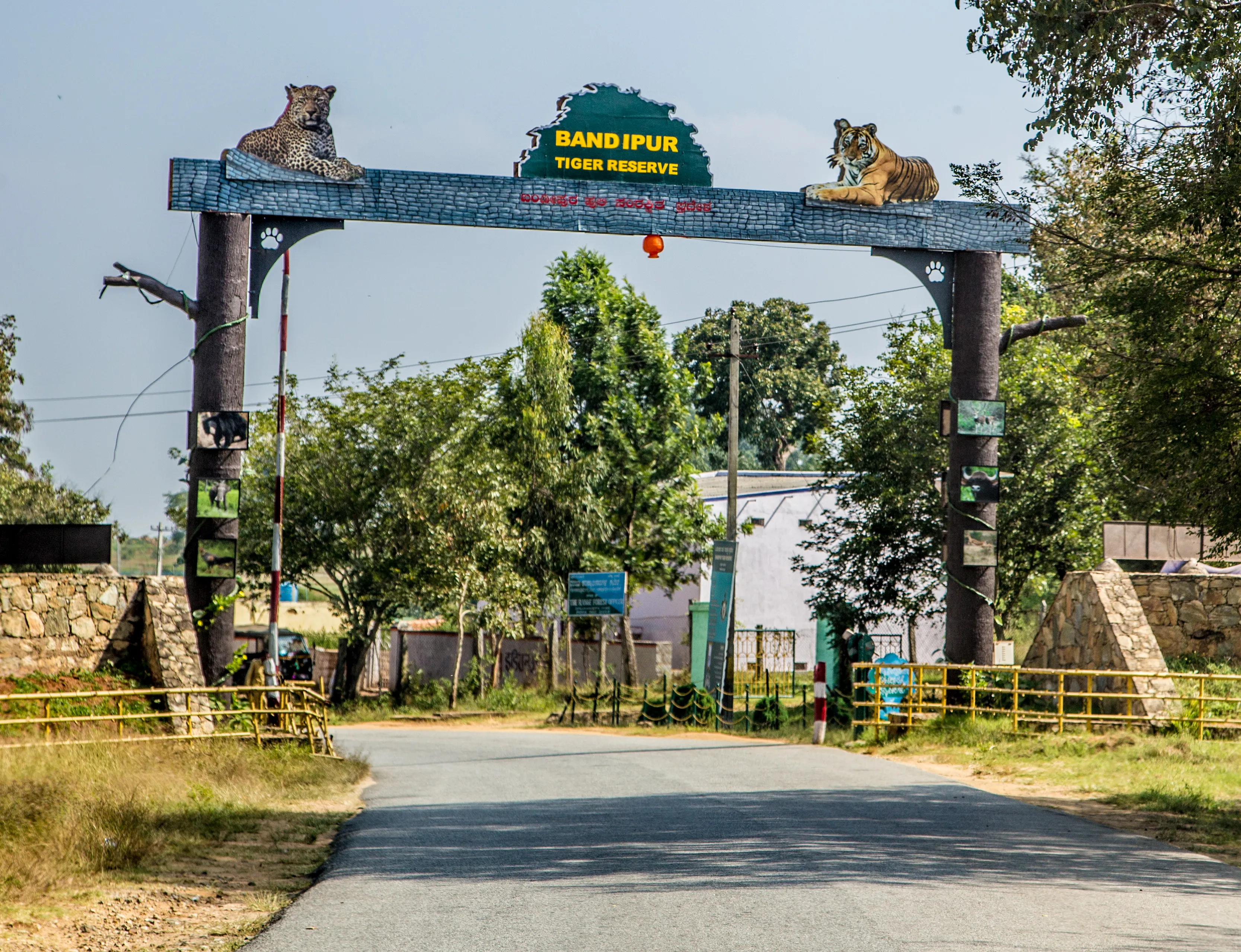 Bandipur National Park